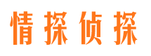 惠山商务调查